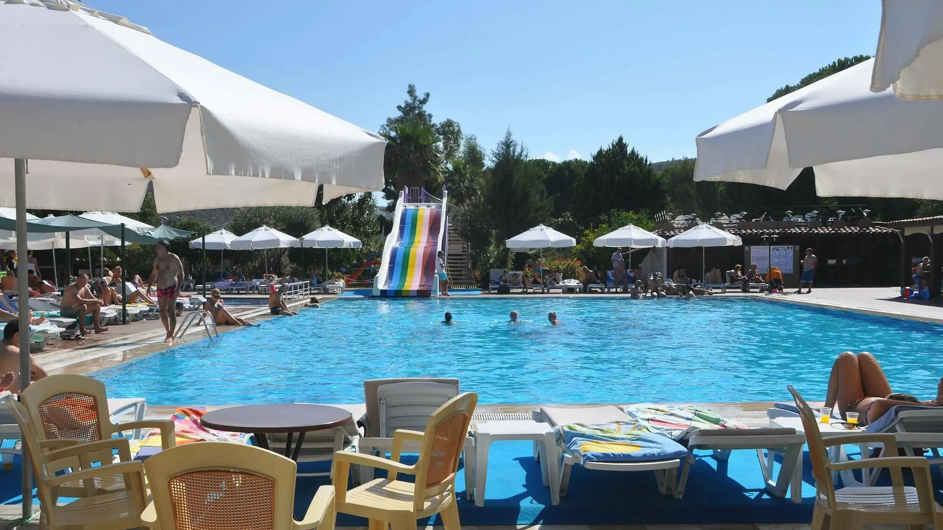 הקונטקטים של Pigale Family Club